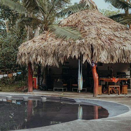 Casa De Los Amigos Caribena Cahuita Eksteriør billede