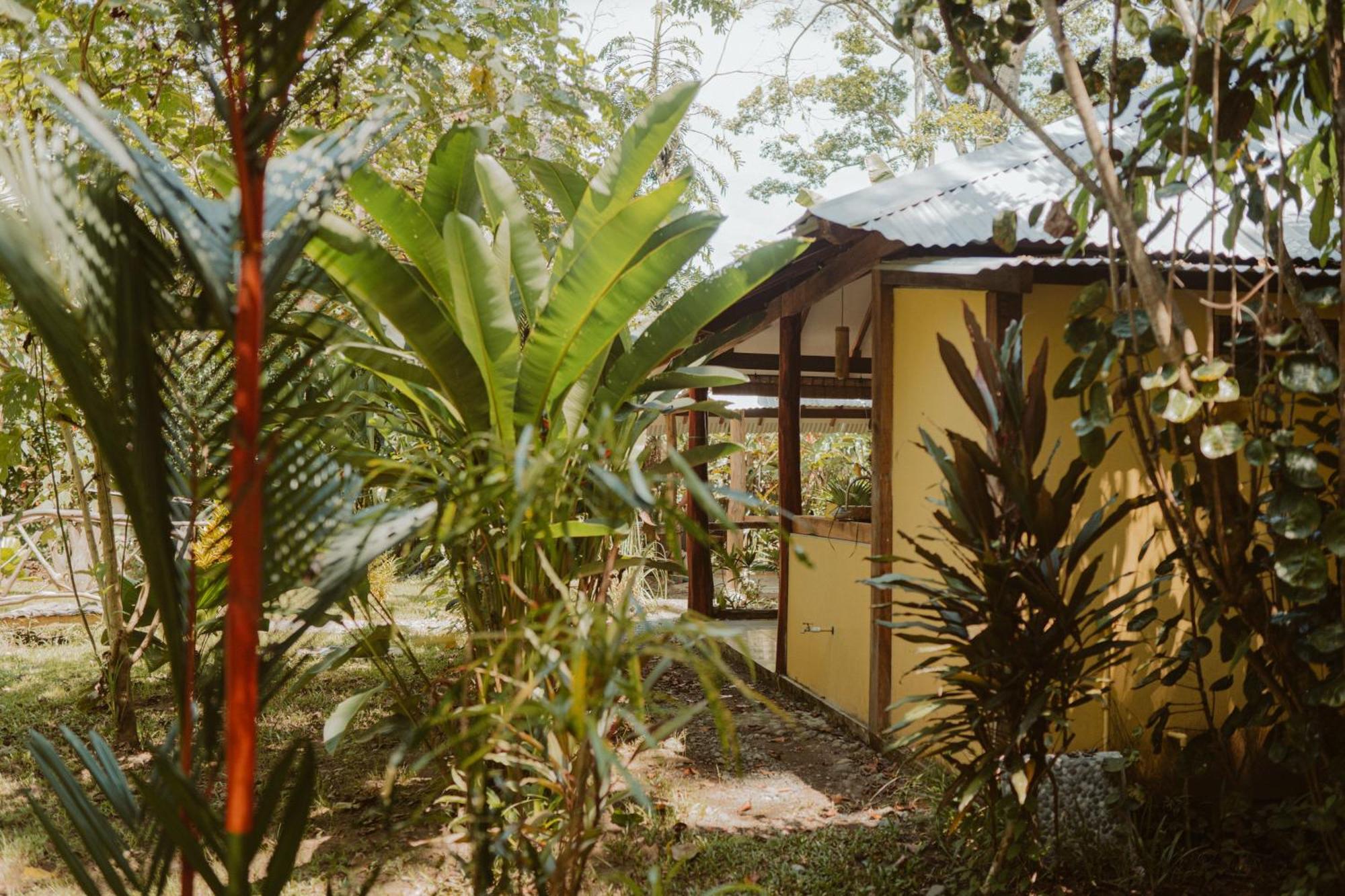 Casa De Los Amigos Caribena Cahuita Eksteriør billede