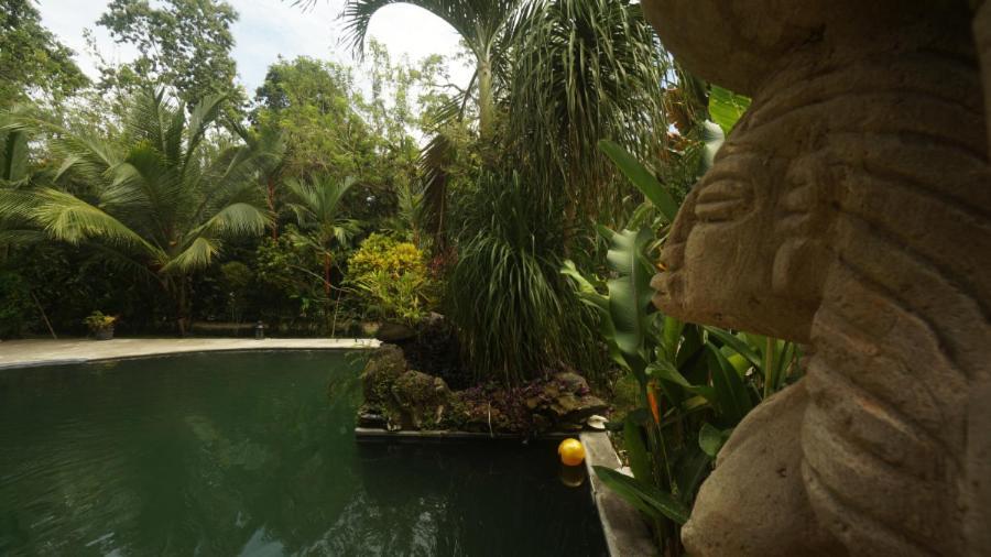 Casa De Los Amigos Caribena Cahuita Eksteriør billede