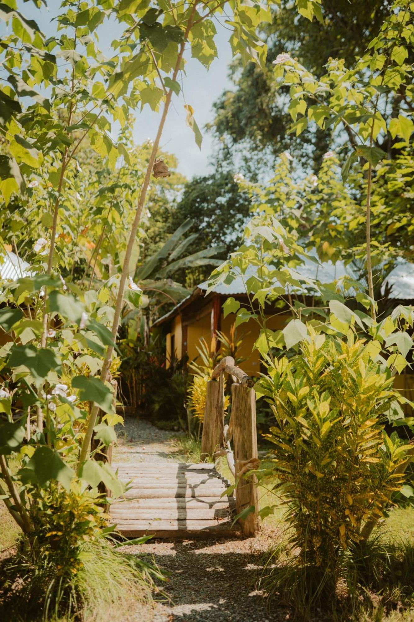 Casa De Los Amigos Caribena Cahuita Eksteriør billede